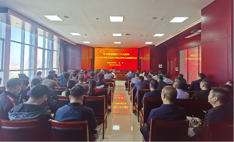 紧跟核心强忠诚 在深学细悟中坚定信仰信念 ——爱游戏体育app官网登录入口-爱游戏(中国)负责人汪洋同志为全体党员讲授主题教育专题党课